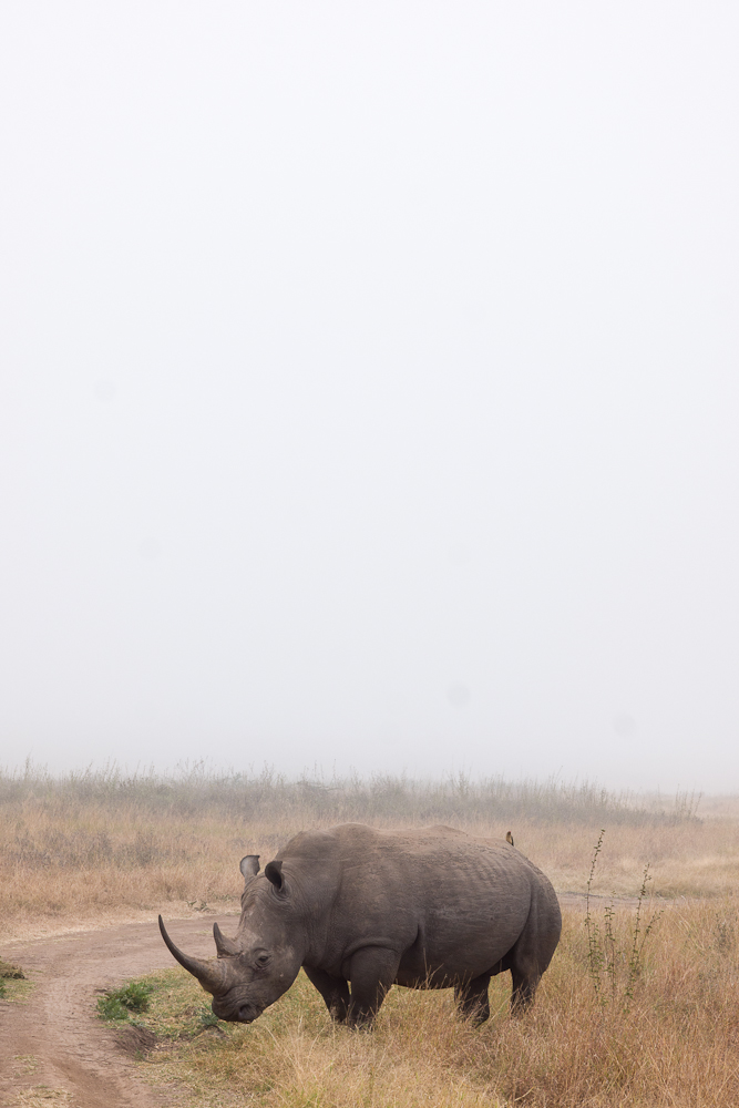 nairobi